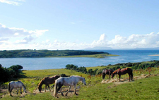 Ireland-Sligo/Donegal-Yeats Trail - on your own